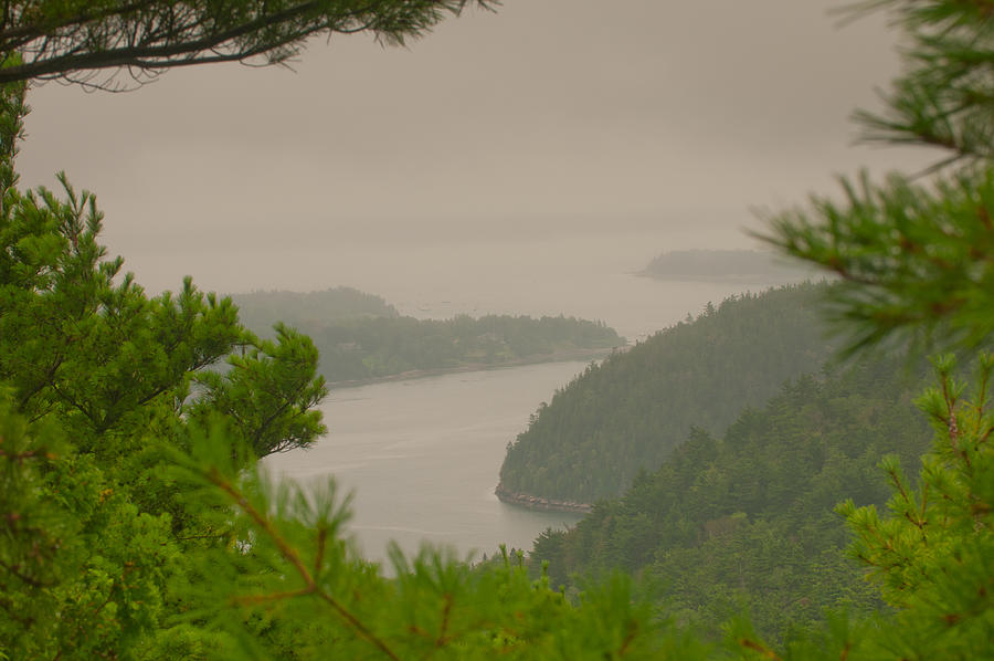 Misty Morning on Acadia Mountain Photograph by Paul Mangold