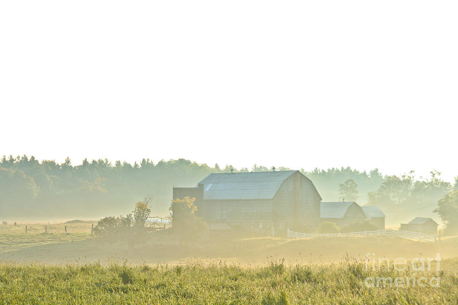 Misty Morning on the Farm Photograph by Cheryl Baxter