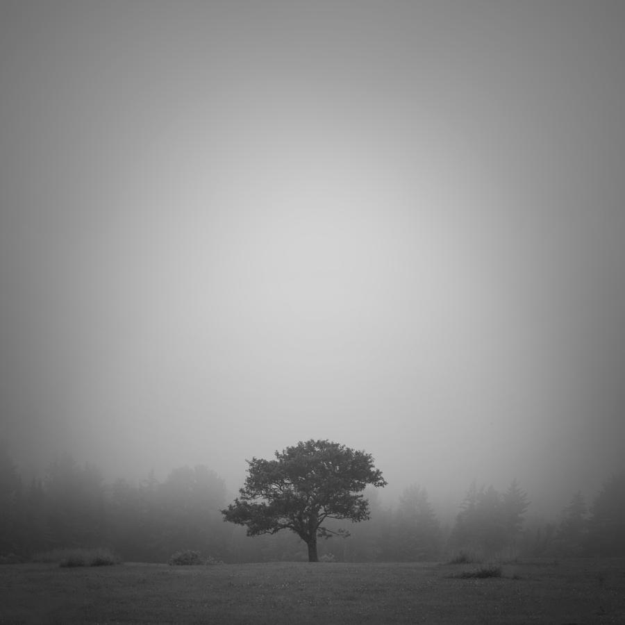 Black And White Photograph - Misty Morning by Patrick Downey