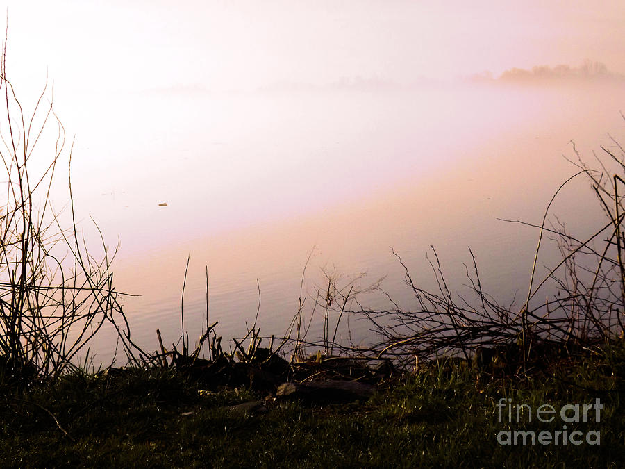Nature Photograph - Misty Morning by Robyn King