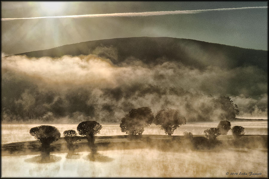 Misty Morning Silhouette Photograph by Erika Fawcett