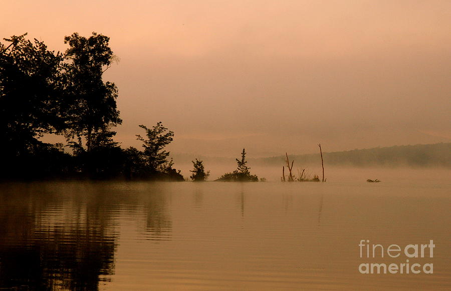 Nature Photograph - Misty Morning Solitude  by Neal Eslinger