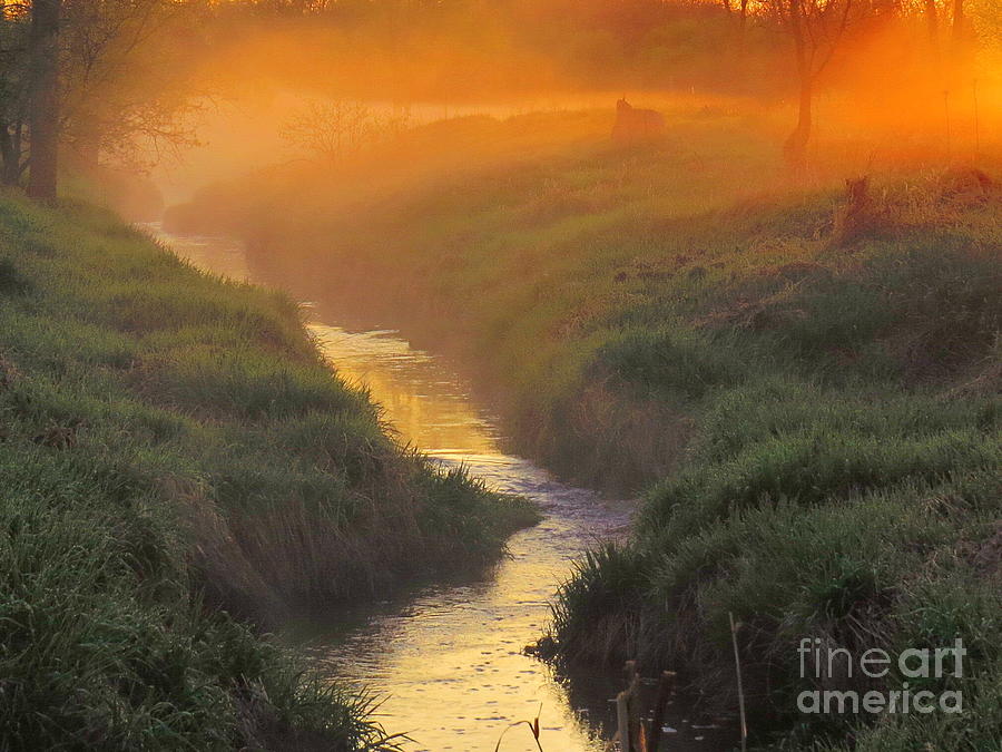Tree Photograph - Misty Morning Sunrise by David Lankton
