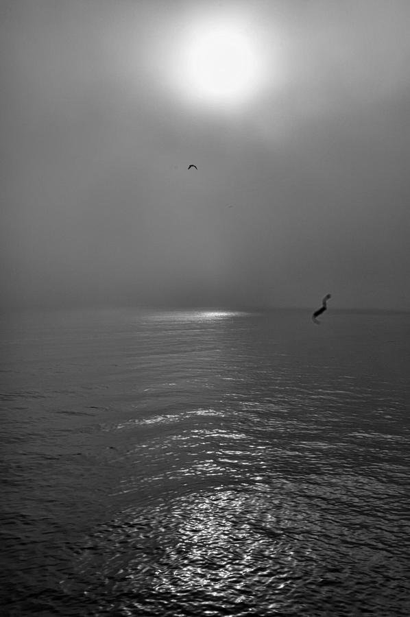 Misty Morning Sunrise On The Bay Photograph by Gary Slawsky