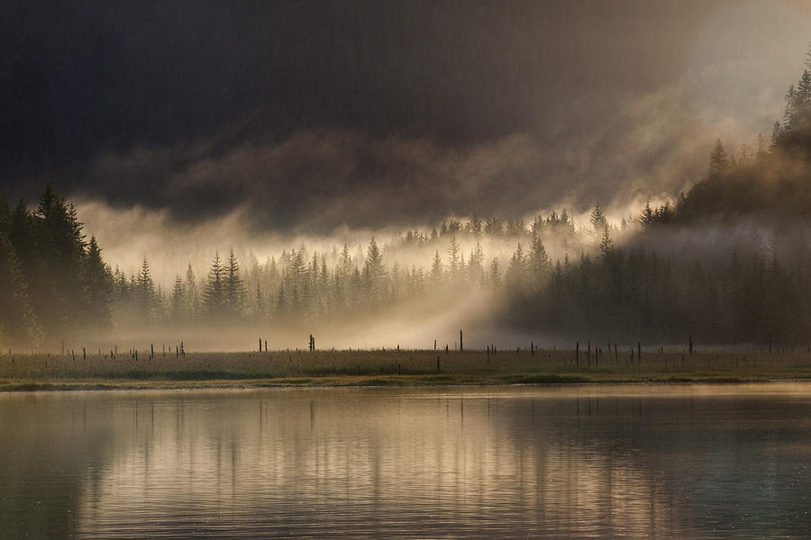 Kenai Fjords National Park Photograph - Misty Morning by Tim Grams