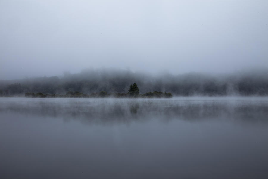 Misty Morning Photograph by Tom Singleton