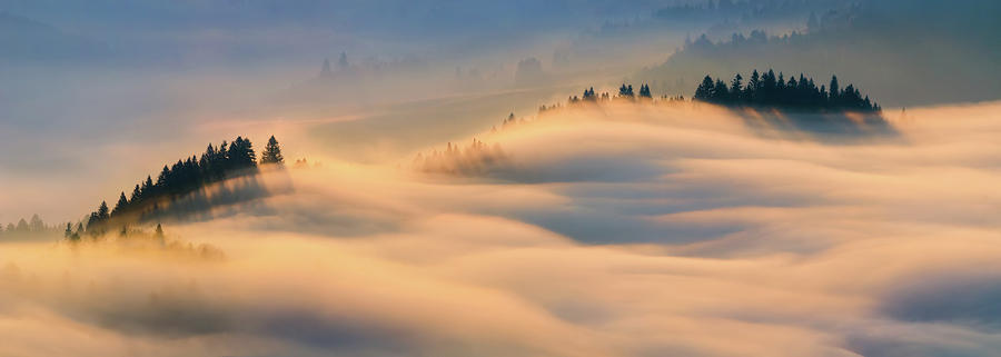 Misty Morning Photograph by Wojciech Kruczynski