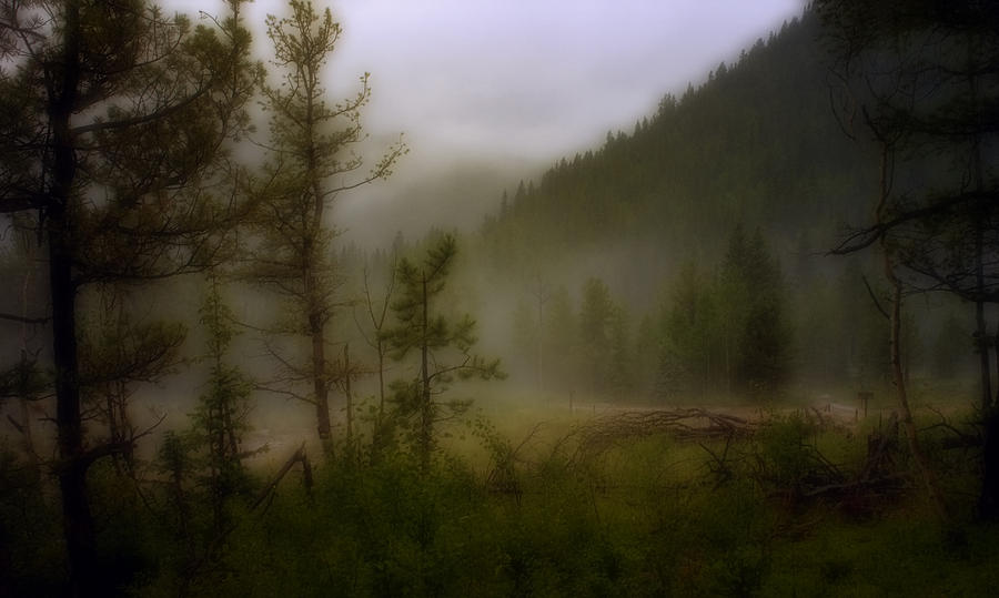 Misty Mountain Photograph by Ellen Heaverlo