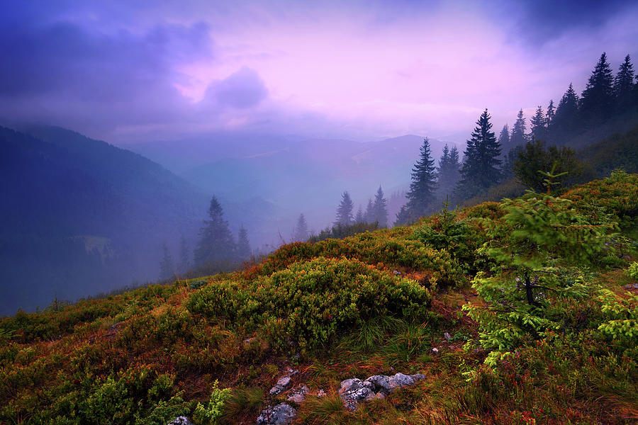 Misty Mountain Sunset Photograph by Sergiy Trofimov Photography