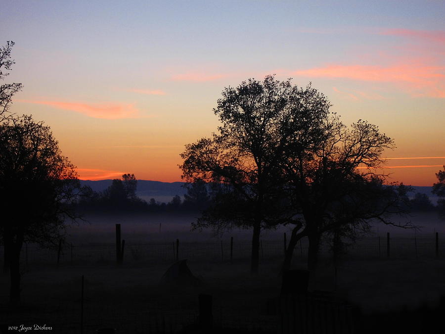 Misty November Morn Photograph by Joyce Dickens