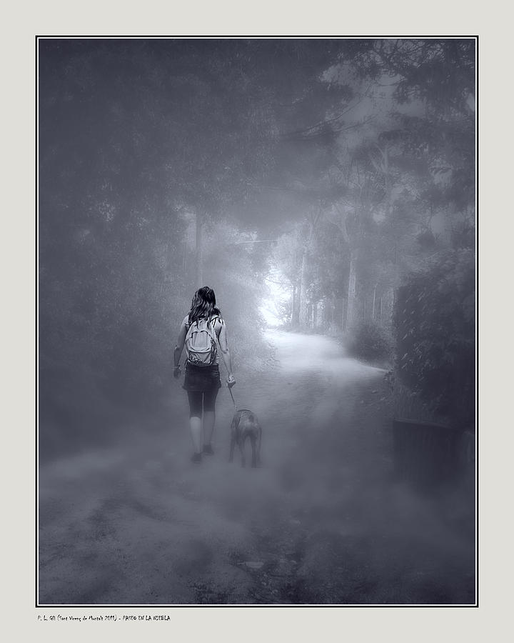 Misty path Photograph by Pedro L Gili