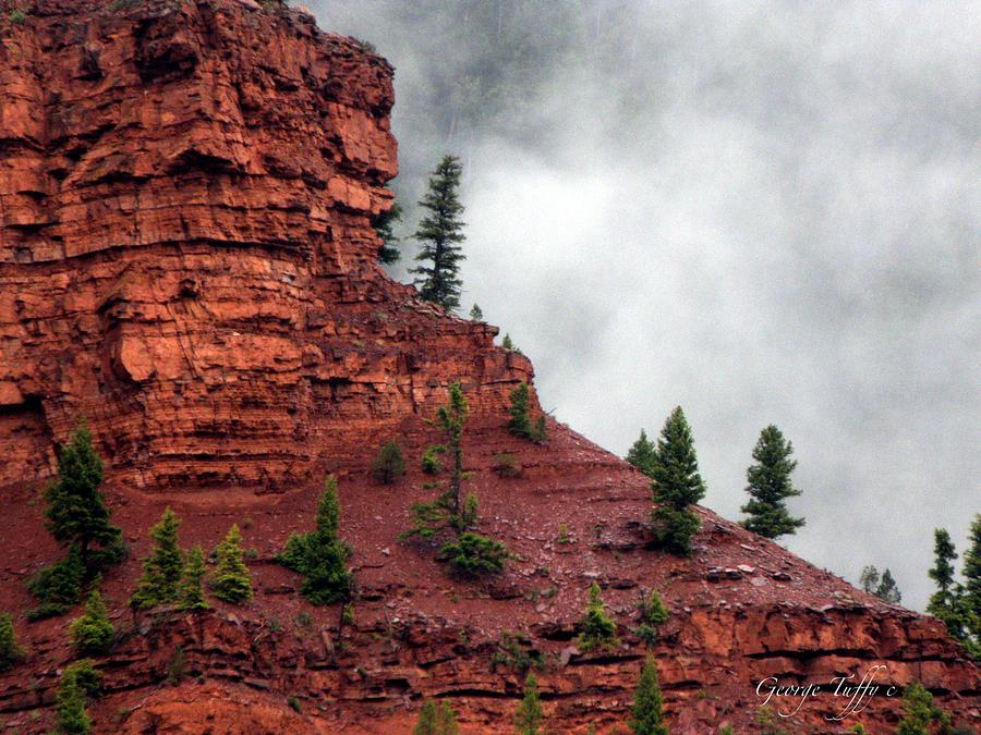 Misty red rocks Photograph by George Tuffy
