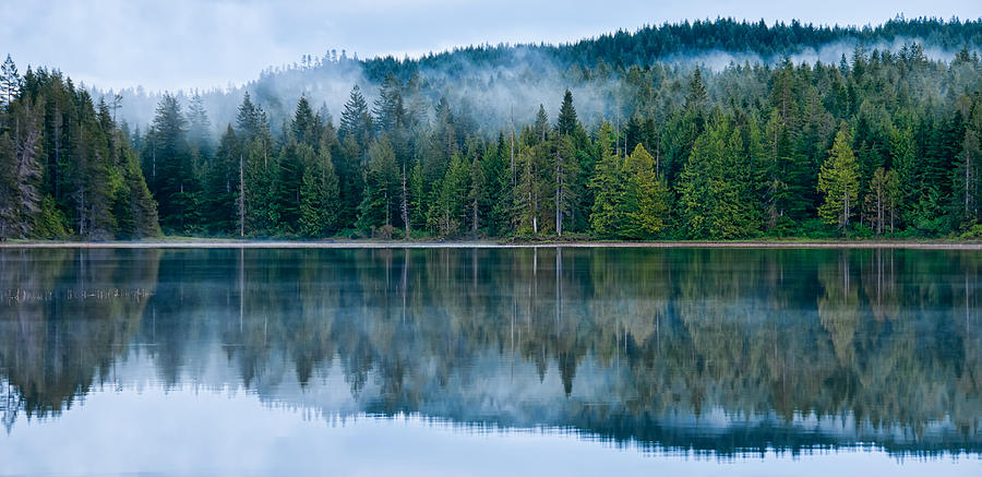 Misty Reflection Photograph by James Wheeler - Pixels