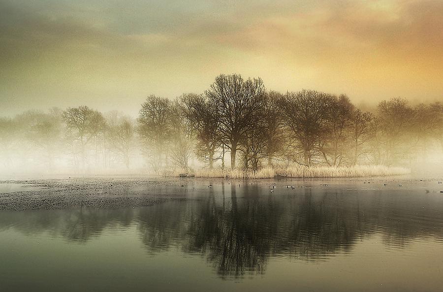 Misty Reflections Photograph by A Goncalves