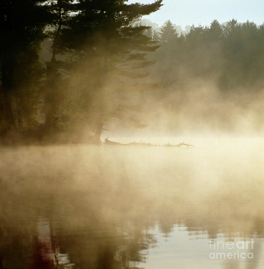 Misty Reservoir Photograph by James A Prince