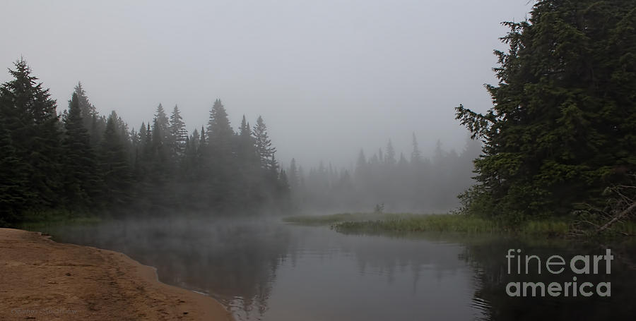 Beach Photograph - Misty River in Algonquin by Barbara McMahon