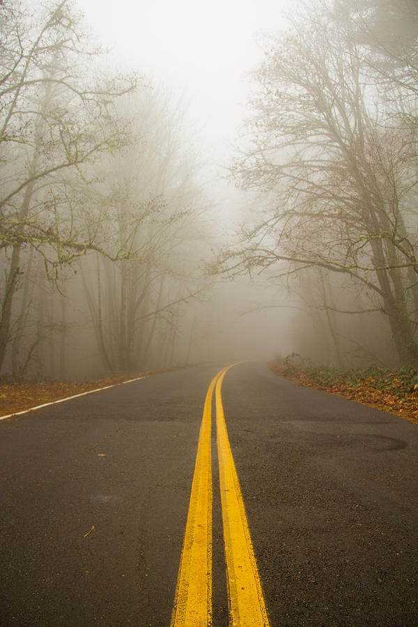 Misty road Photograph by Kunal Mehra