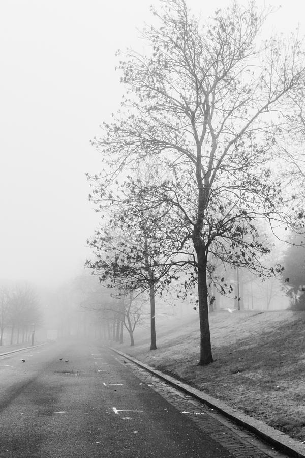 Black And White Photograph - Misty Road by Arianna Petrovan