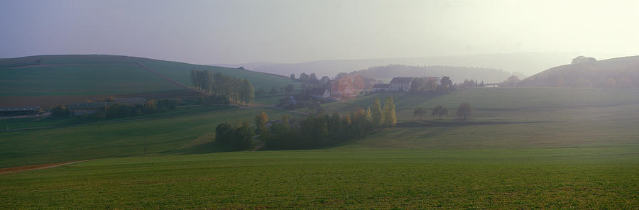 Tree Photograph - Misty Rural Scene, Near Neuhaus, Black by Panoramic Images