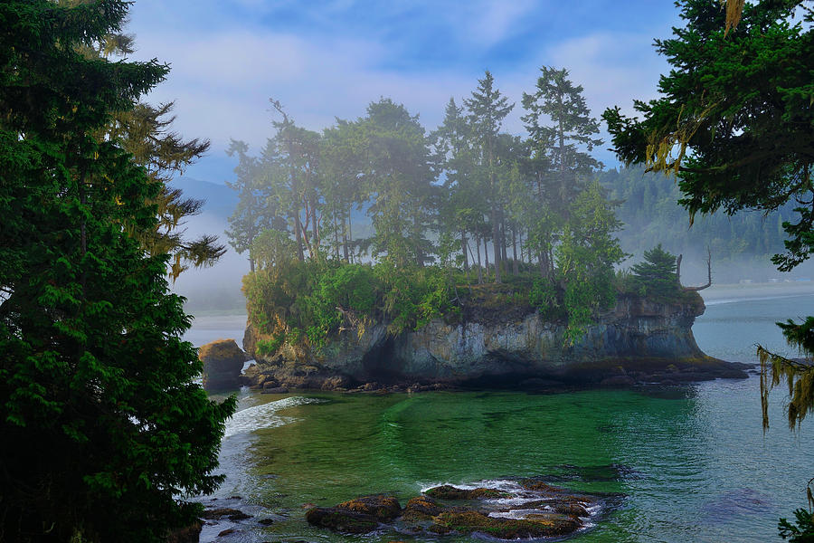 Olympic National Park Photograph - Misty Seastack by Greg Norrell