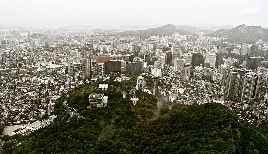 Tree Photograph - Misty Seoul by Kume Bryant