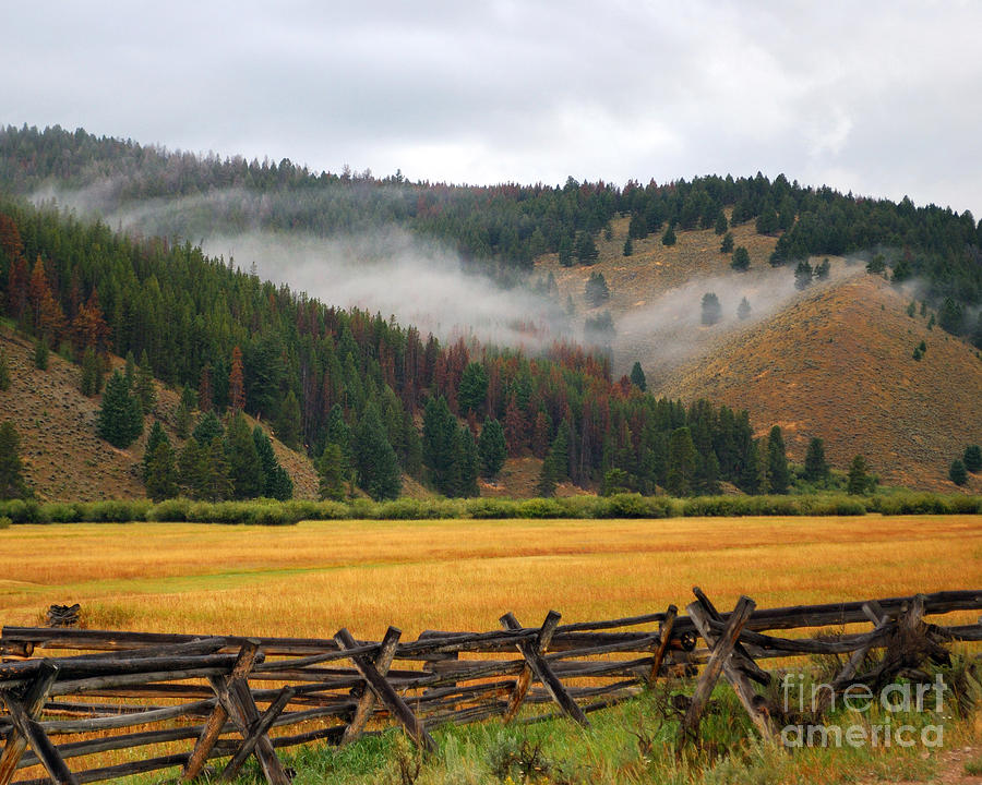 Fall Photograph - Misty Song by Brad Christensen