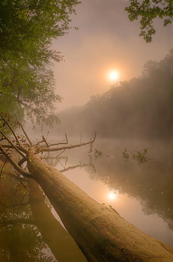 Misty Sun Photograph by Robert Charity