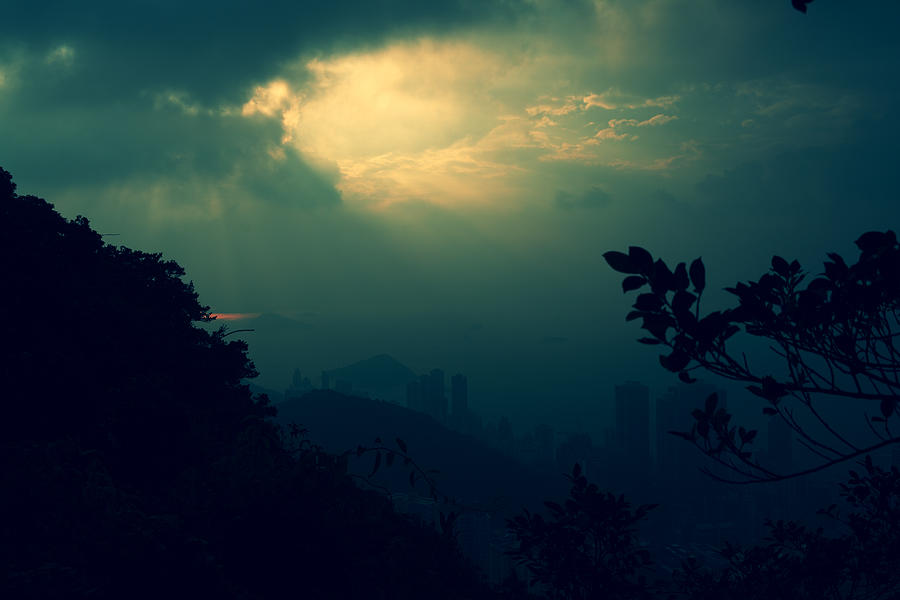 Misty Sunlight Photograph by Afrison Ma