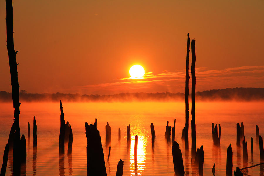 Misty Sunrise II Photograph by Roger Becker