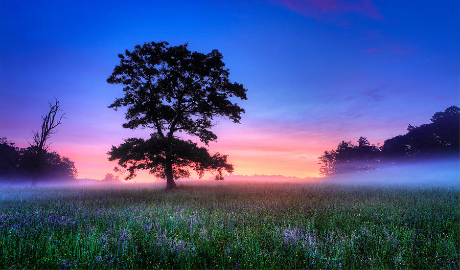 Misty Sunrise on the Blue Ridge Parkway I Photograph by Dan Carmichael