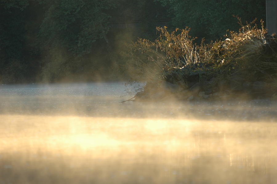 Misty Sunrise Photograph by Robert Culver