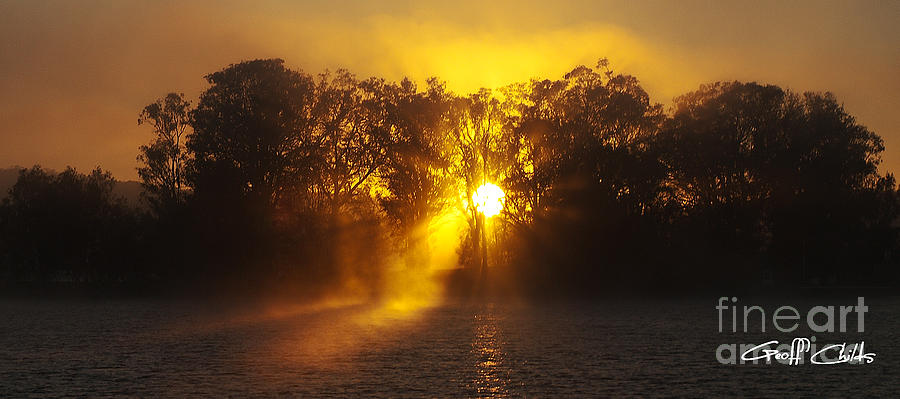 Misty Sunrise through Trees. Photograph by Geoff Childs