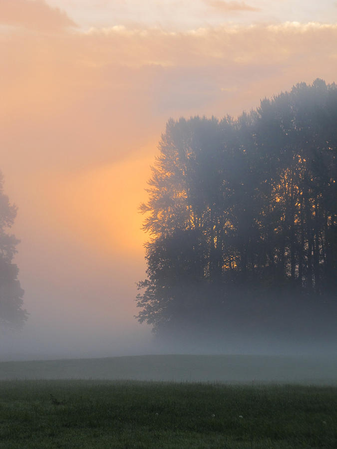 Misty Sunrise Photograph by Wayne Enslow