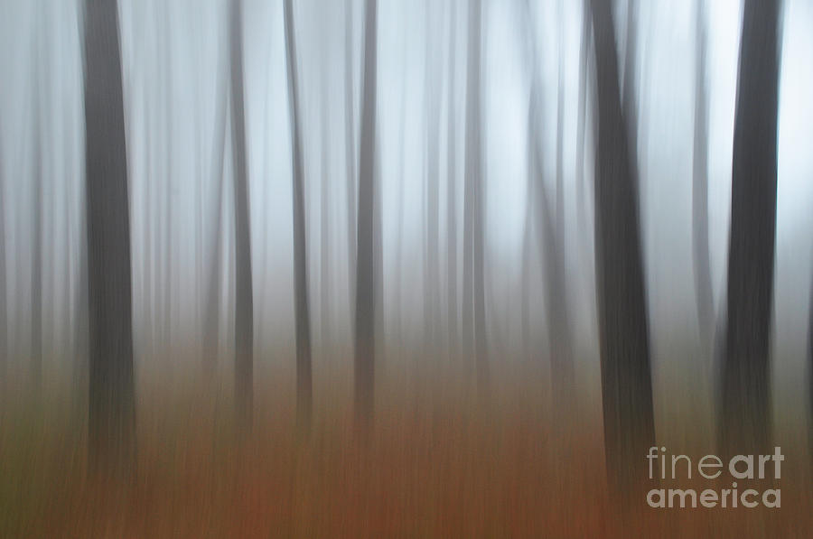 Misty thoughts by Simona Ghidini Misty thoughts by Simona Ghidini
