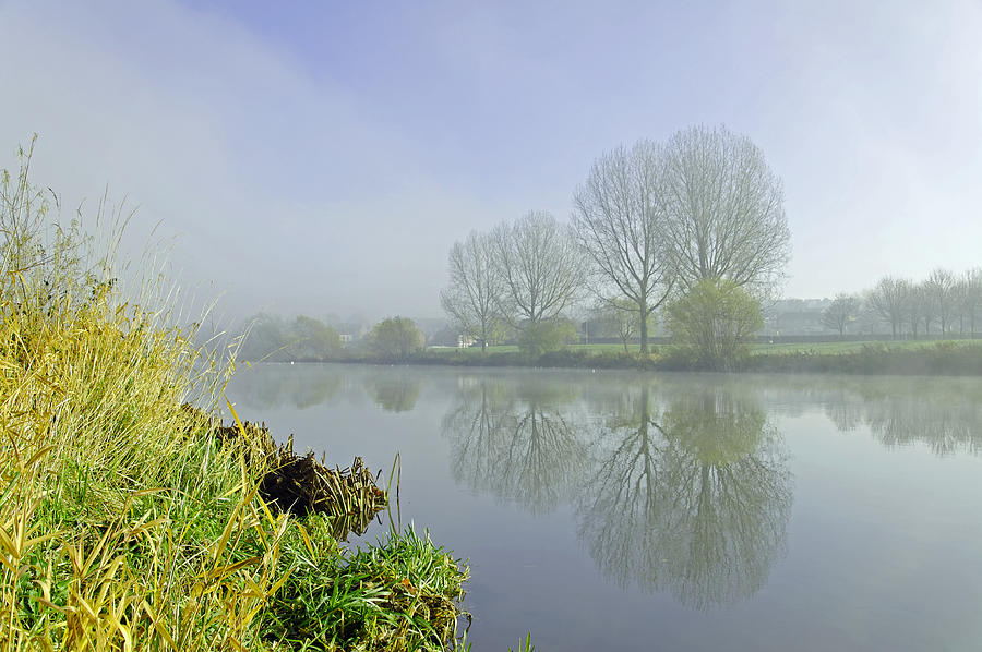 Misty Trees at Waterside - Stapenhill Photograph by Rod Johnson