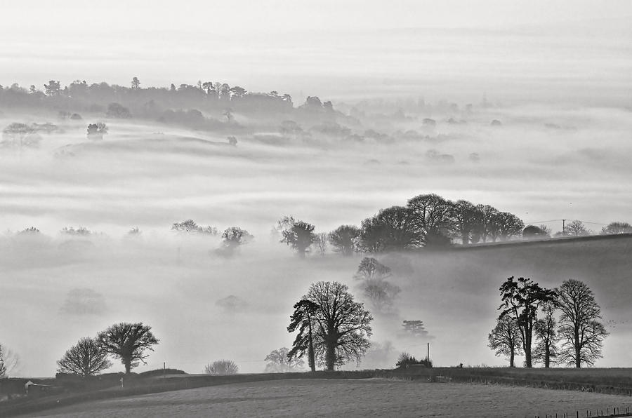 Tree Photograph - Misty view by Pete Hemington
