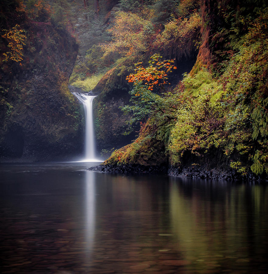 Misty Waterfall In Autumn Columbia By Michael Riffle