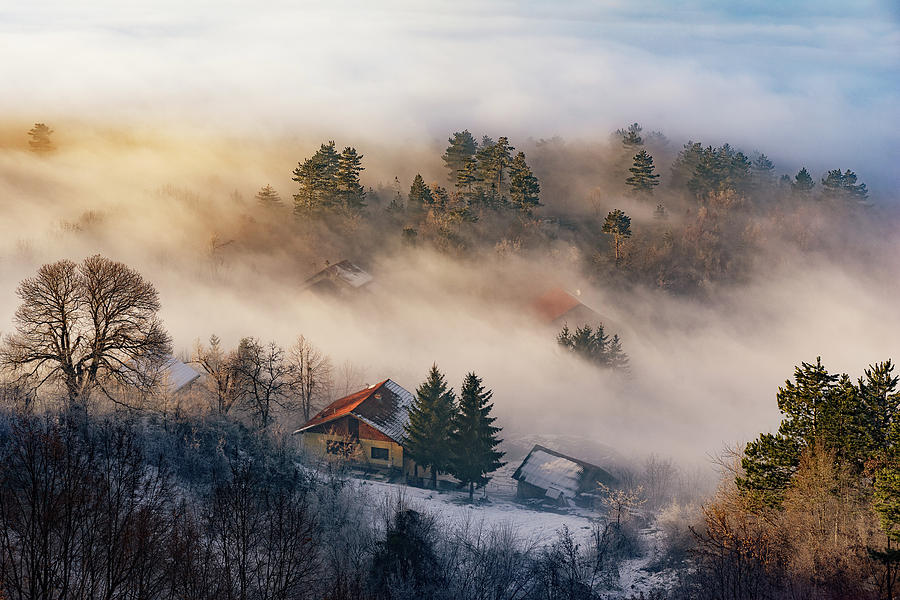Winter Photograph - Misty Winter Days by Bez Dan