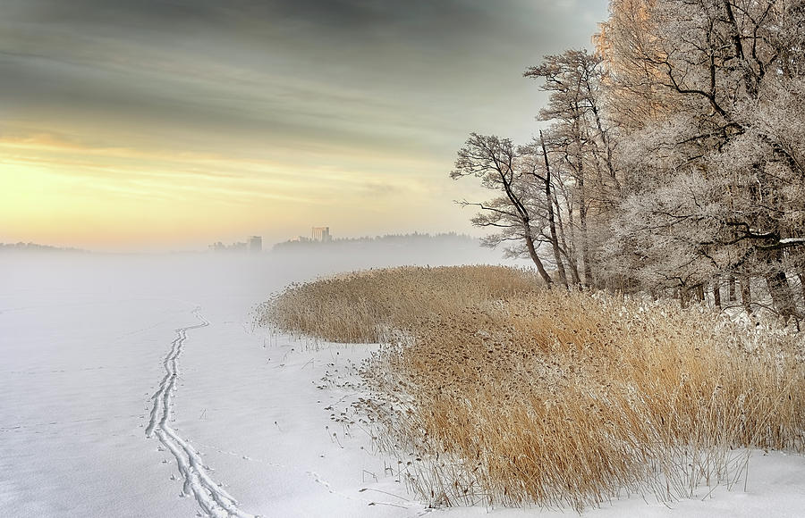 Winter Photograph - Misty Winter Morning by Keijo Savolainen