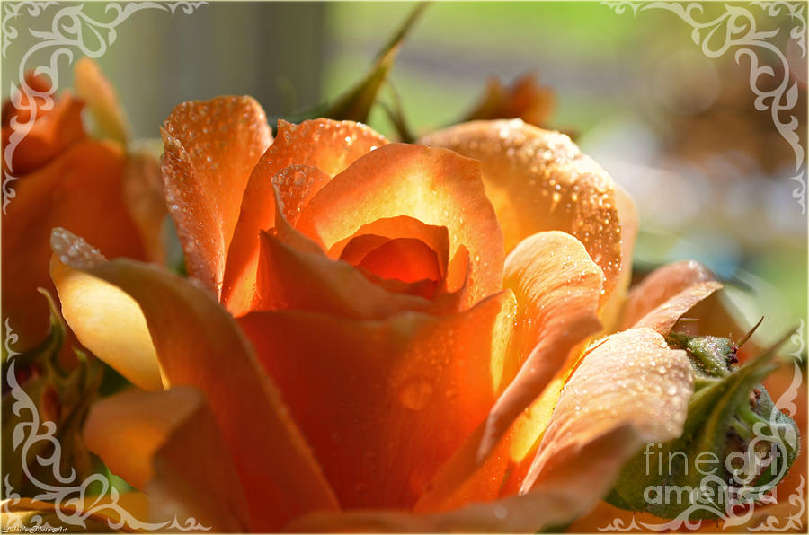 Misty Yellow Rose with decorations Photograph by Debbie Portwood