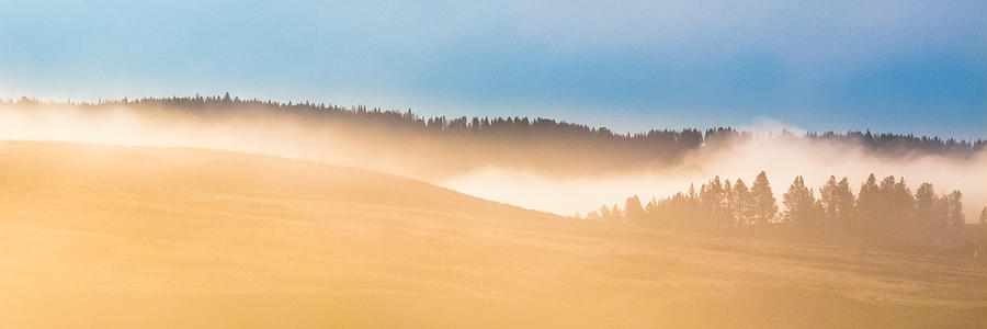 Misty Yellowstone   Photograph by Lars Lentz
