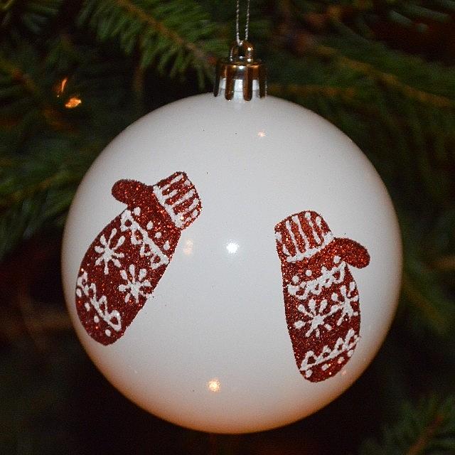 Holiday Photograph - Mittens. by Eve Tamminen