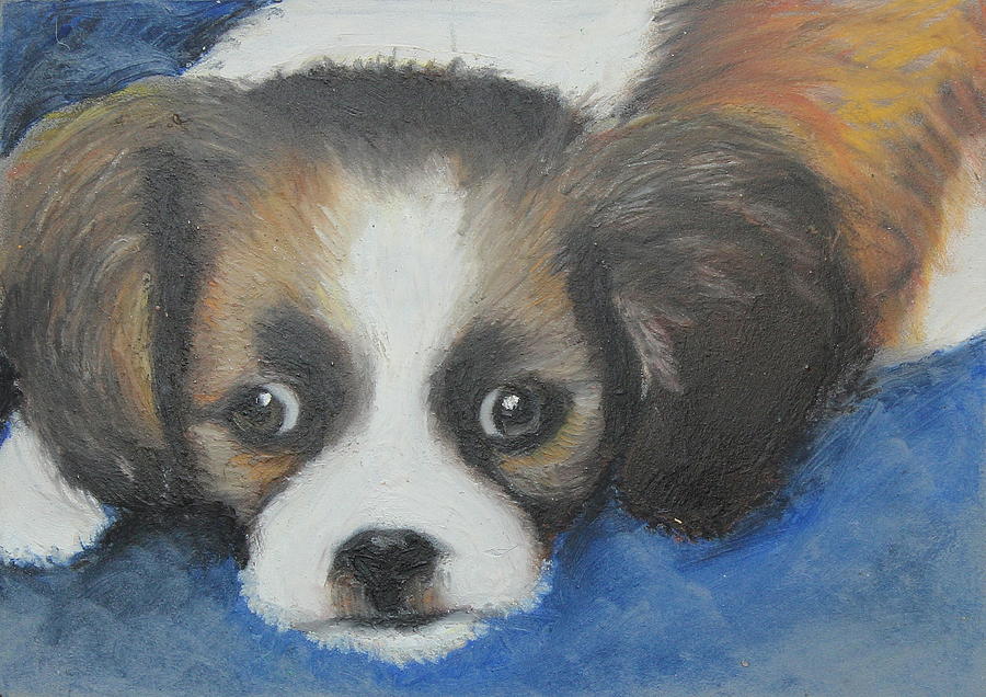 Animal Painting - Mitzy by Jeanne Fischer