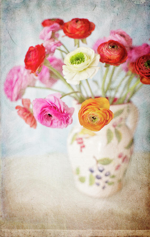 Mixed Ranunculus In Vase Photograph by Susangaryphotography
