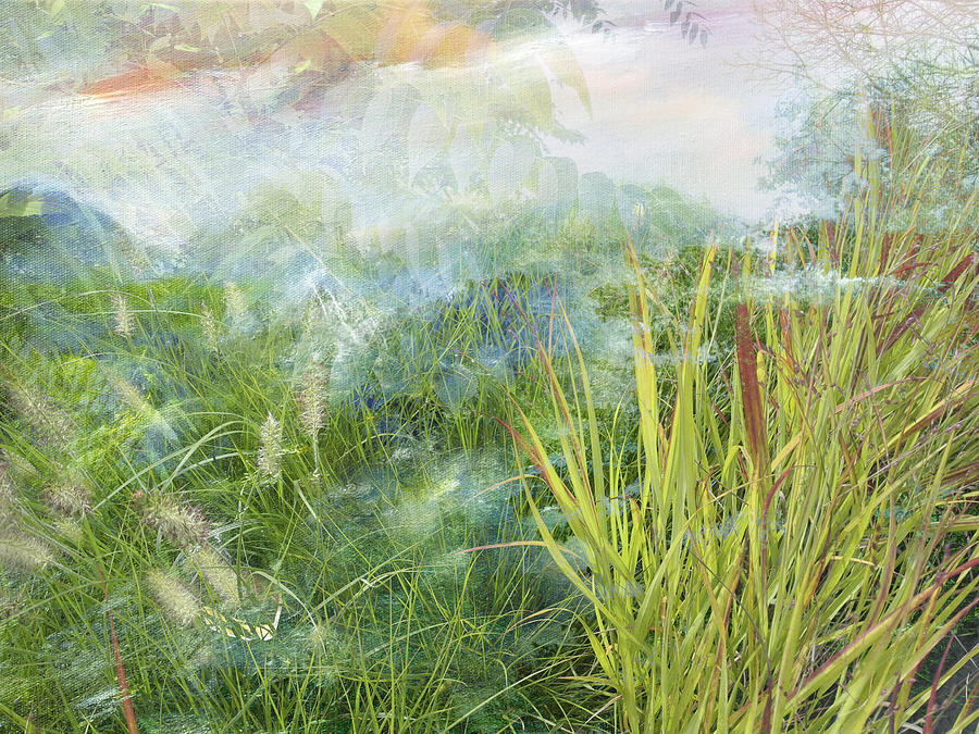 Painted Grass With Fog Photograph