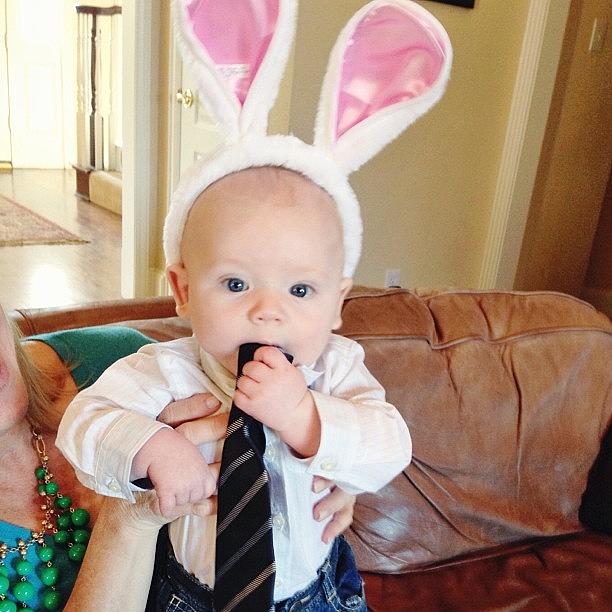 Mmm Tie And Bunny Ears #babyweir Photograph by Heather Weir