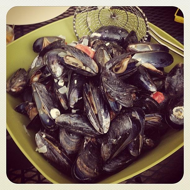 Fish Photograph - Mmmmussels #mussels #food #seafood by Craig Kempf
