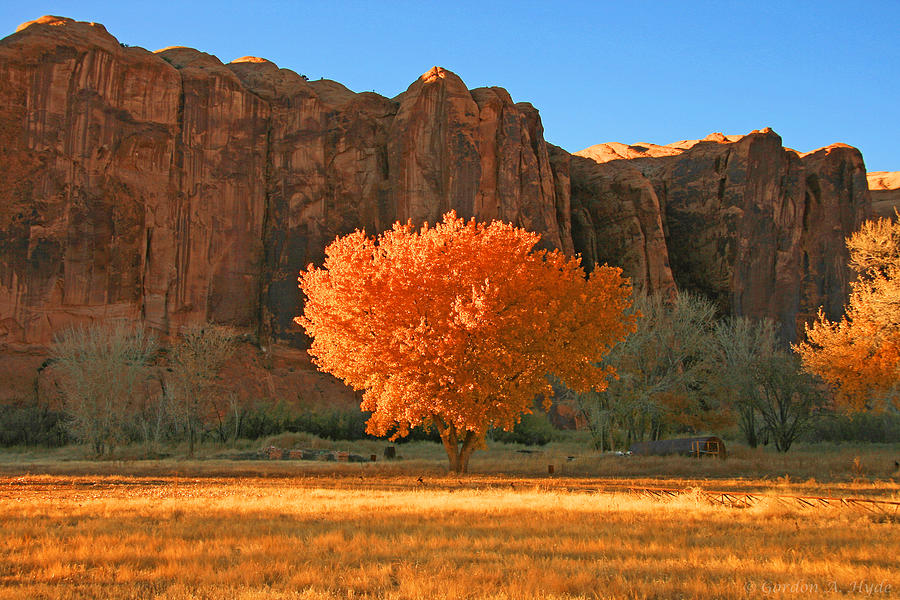 Moab Fall Photograph by Gordon Hyde Fine Art America