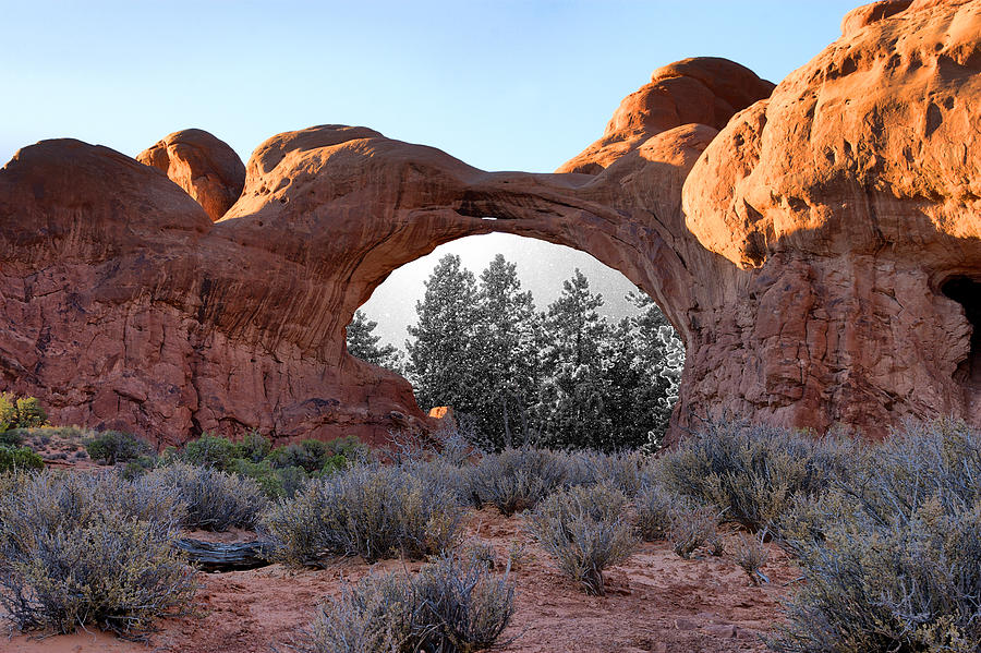 Arches National Park Photograph - Moab Snow Globe by Greg Wells