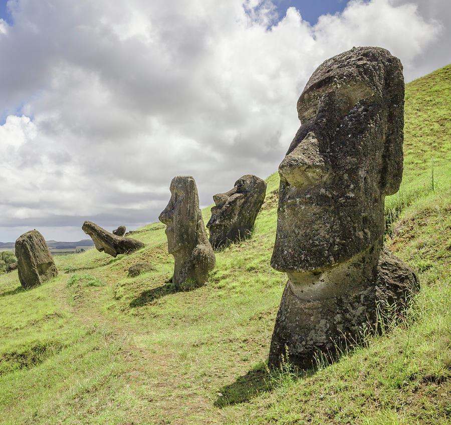 Moai Statues At Rano Raraku, The Moai Photograph by David Madison